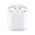 Apple AirPods with Charging Case A2032, A2031, A1602 фото 1